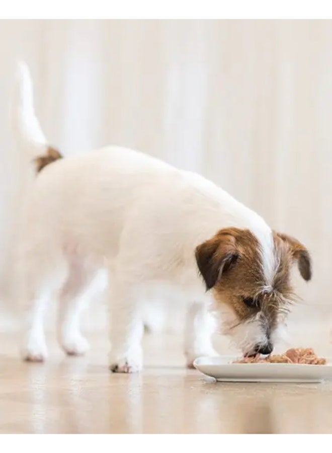 Schesir Dog Wet Food Ocean Fish with Tuna 85g Pack of 14 | Natural Premium Small Dog Meal in Velvety Sauce with Sustainable Fish & High Protein Nutrition - Image 5